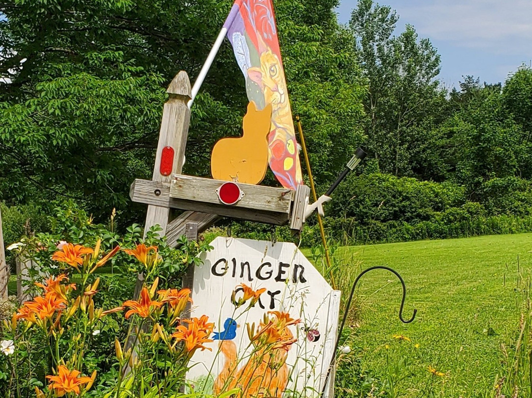 The Ginger Cat Bed & Breakfast主图