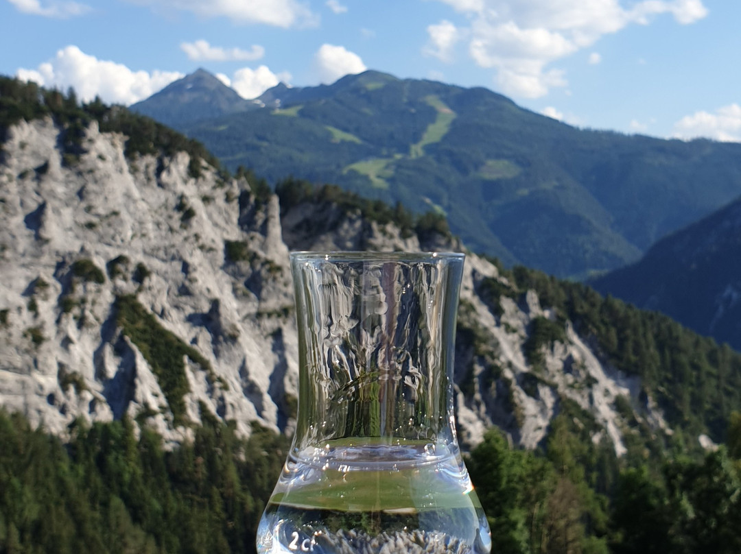 Bergbauernhof Irxner主图