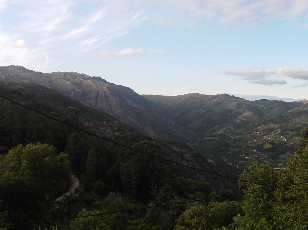 A Cobica do Mundo主图