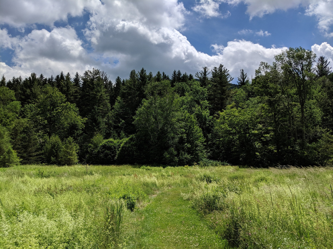 Spruceton Inn - a Catskills Bed and Bar主图