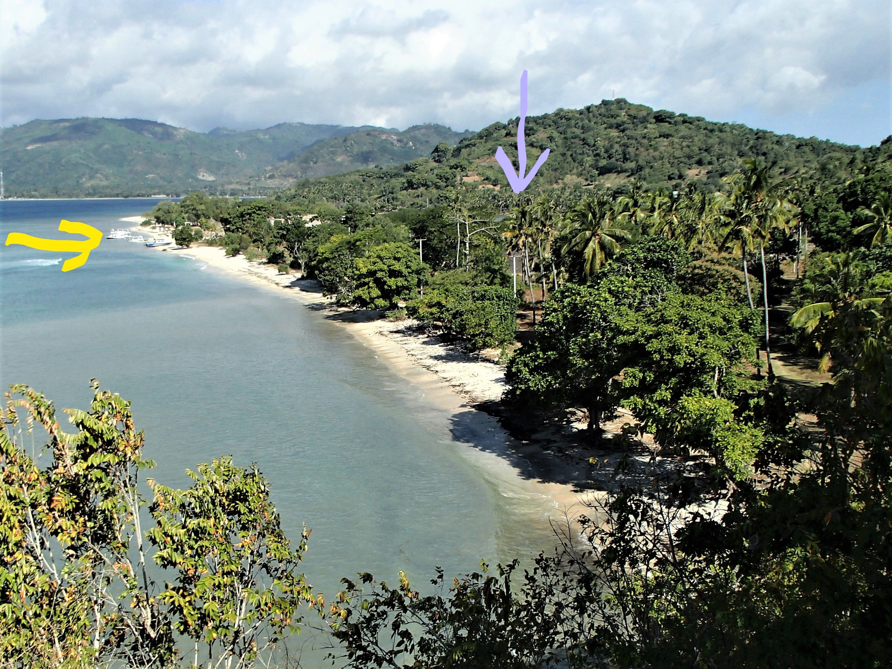 Thamarind Resort-泳池