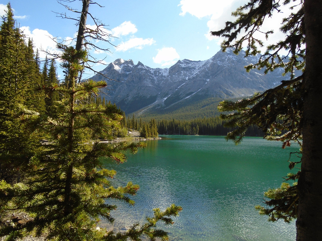 Elbow Lake Trail-卡那那斯基斯必去景点