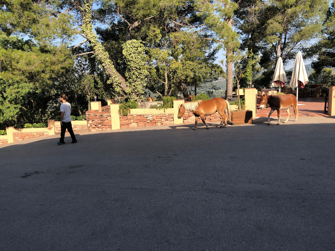 Hotel Can Rafel主图