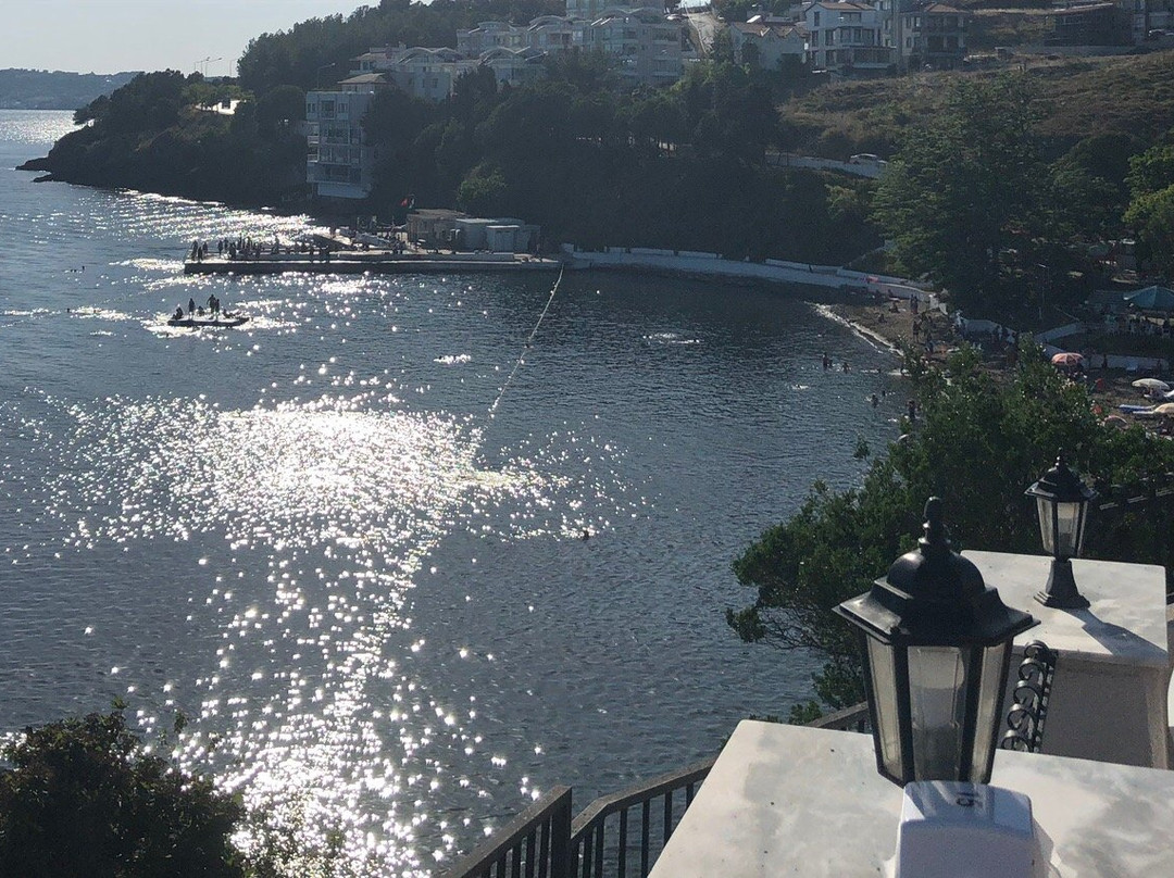 Sinop Province旅游攻略图片