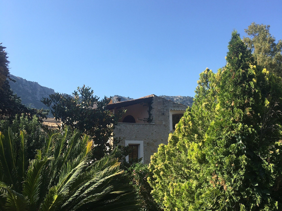 Hotel Nou Dalt Muntanya主图
