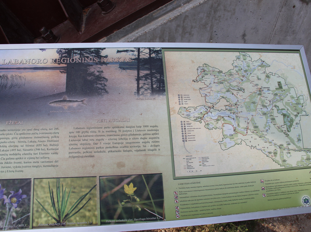 Labanoras Regional Park Observation Tower-Moletai必去景点