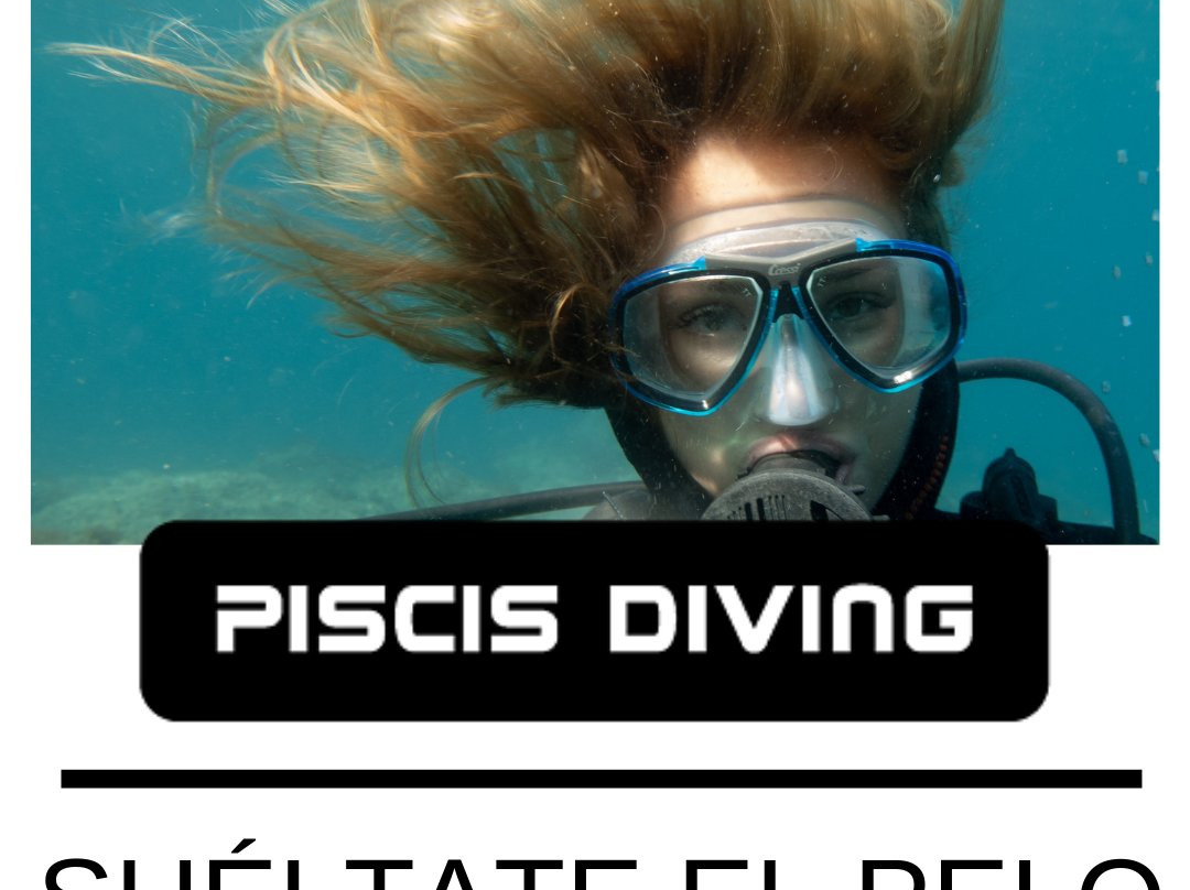 Piscis Diving景点图片