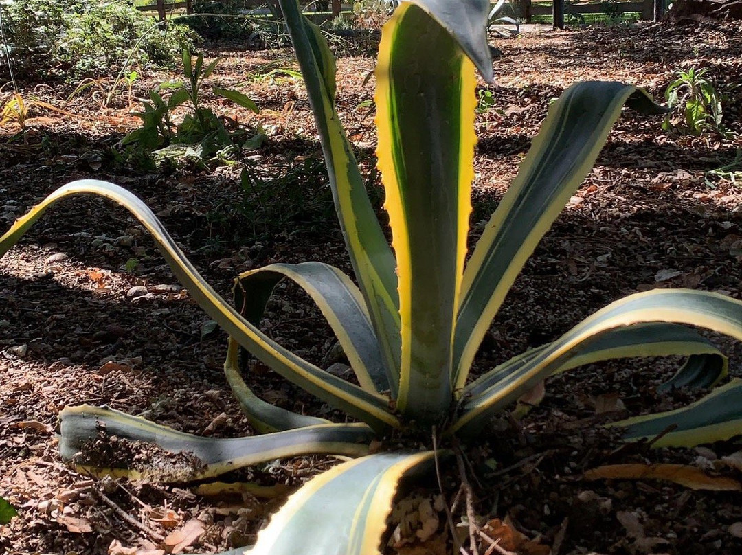 Markham Nature Park and Arboretum-康科德必去景点