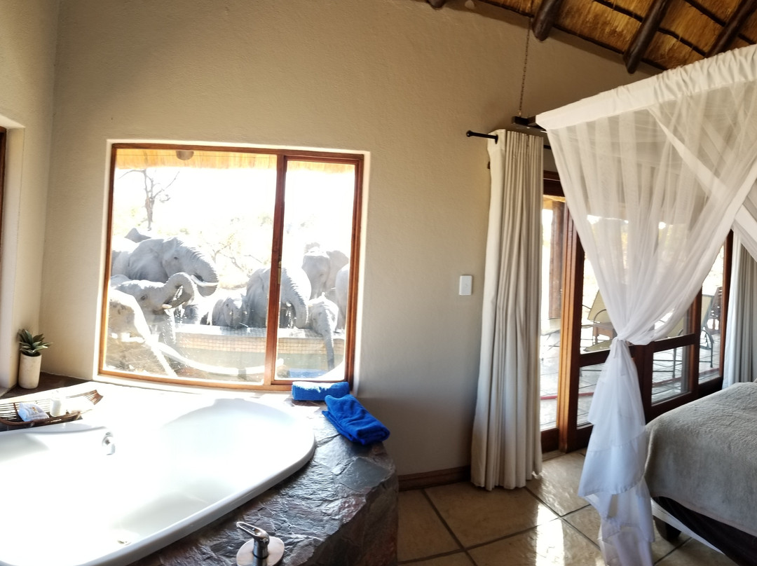 阿拉修萨野生动物园酒店主图