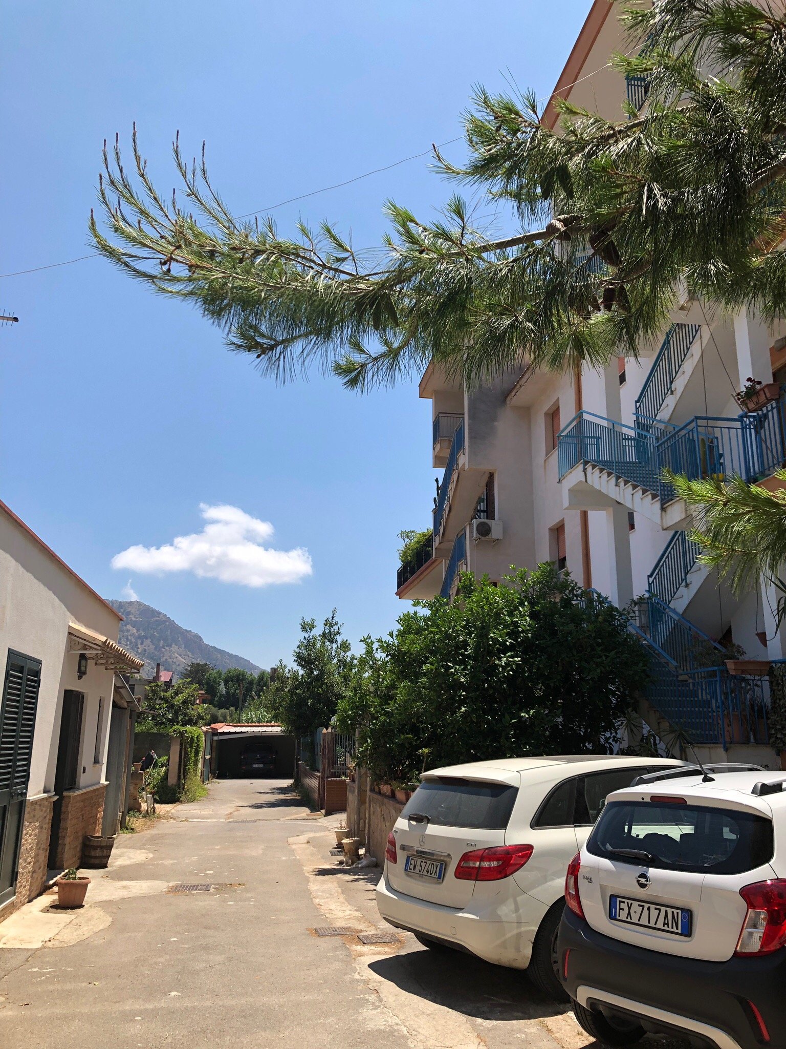 Baglio Busalacchi-官方