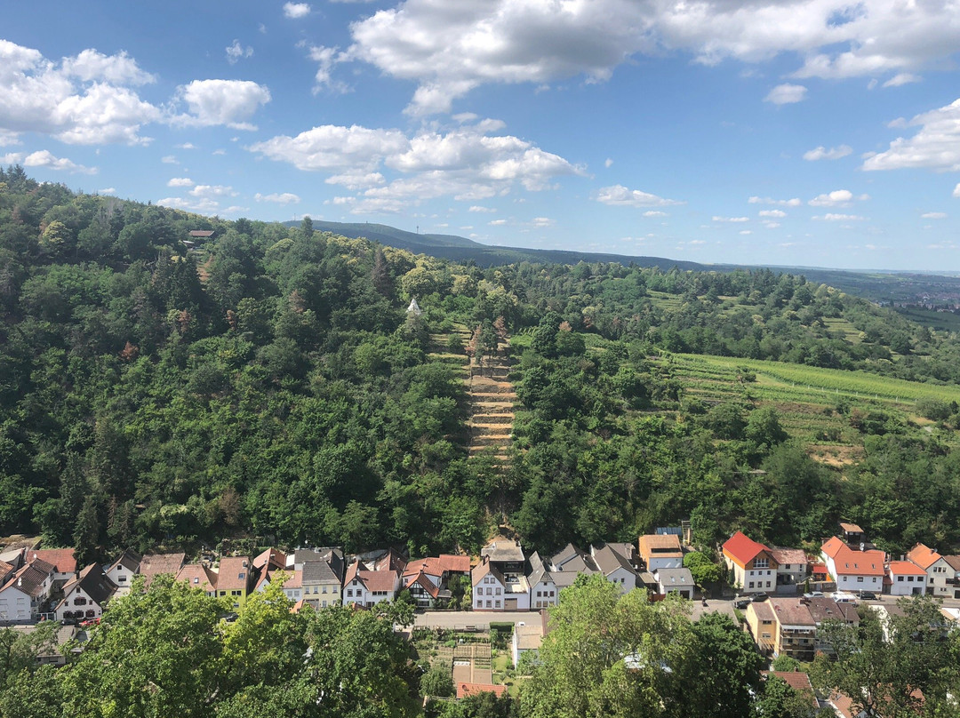 Wachtenburg-Wachenheim an der Weinstrasse必去景点