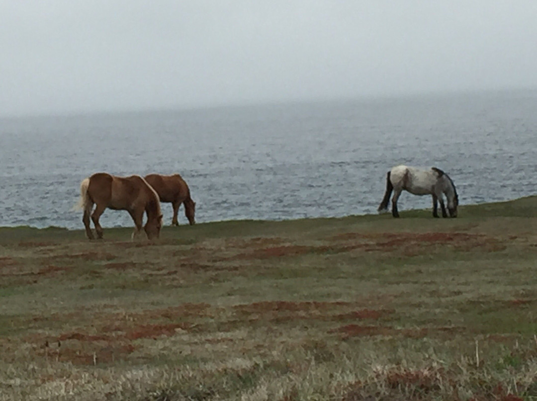 Butler's By The Sea Bed and Breakfast主图