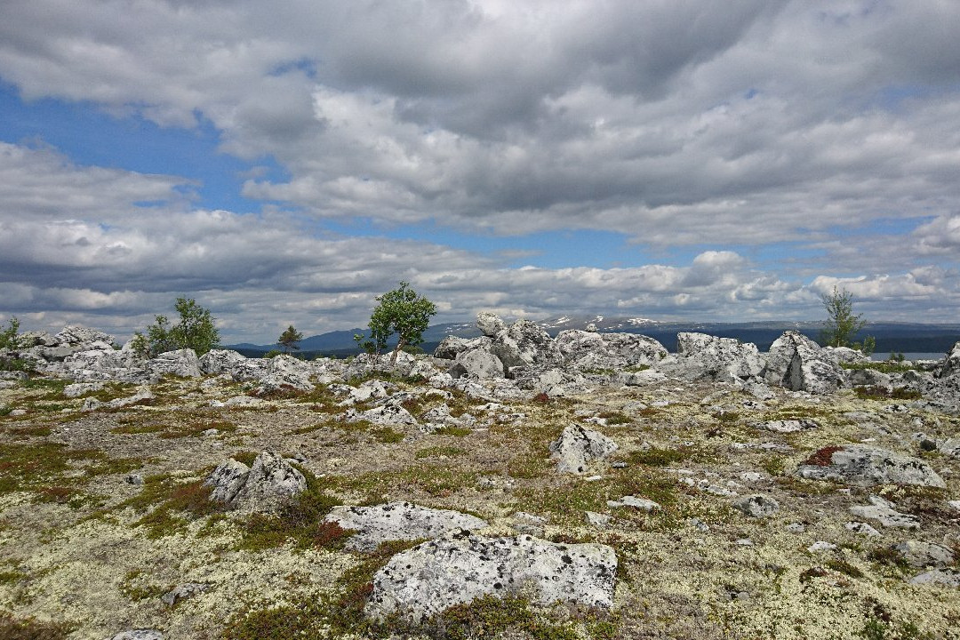 Femundsmarka National Park景点图片