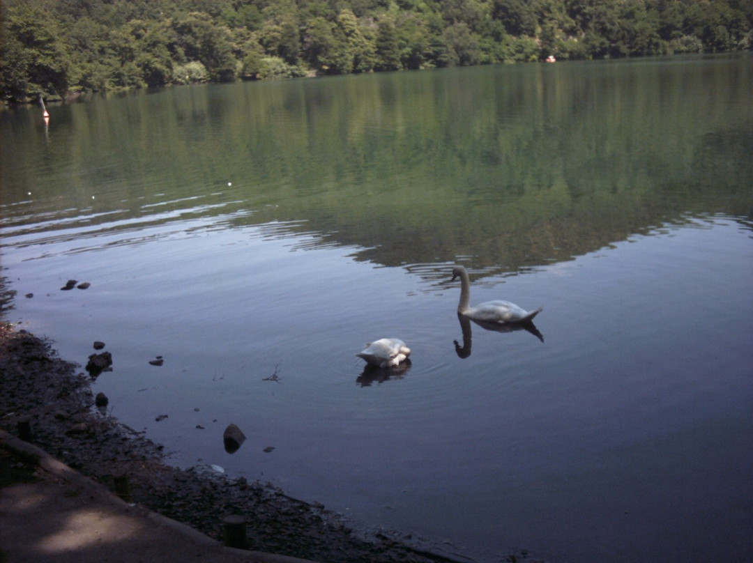 Laghi Di Monticchio景点图片