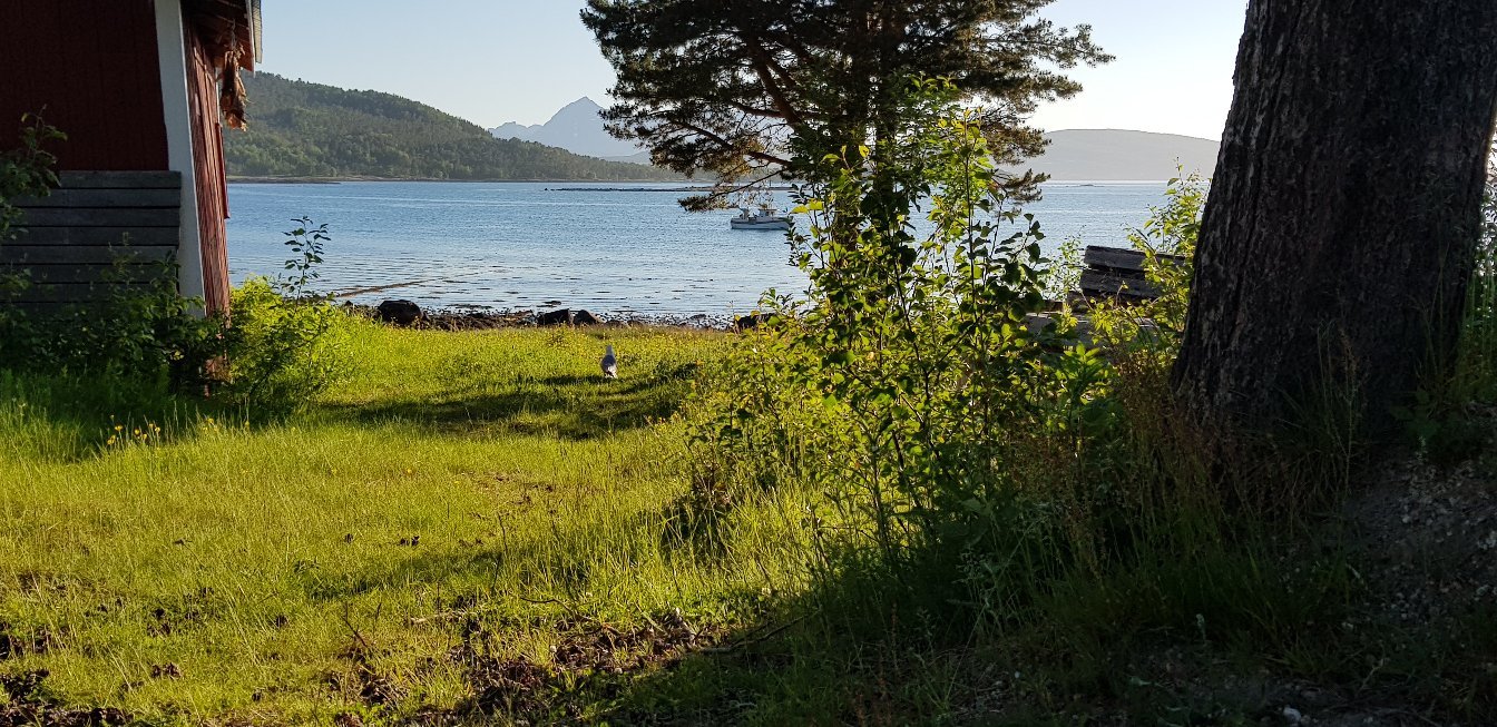Ulvsvag Gjestgiveri og Fjordcamping-官方