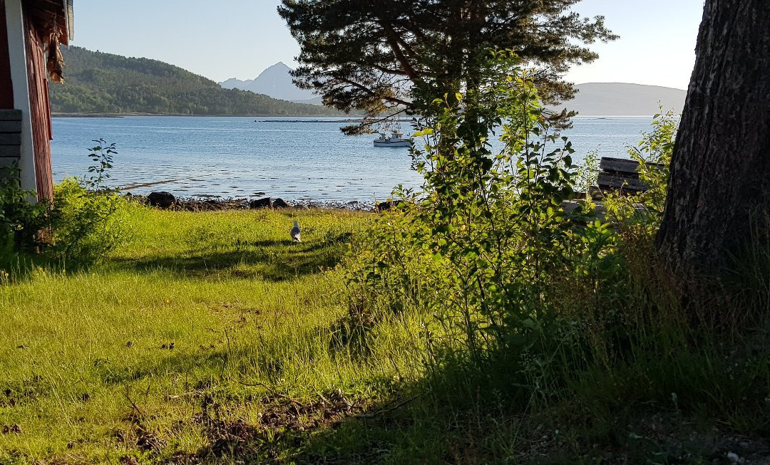 Sørfjordmoen旅游攻略图片