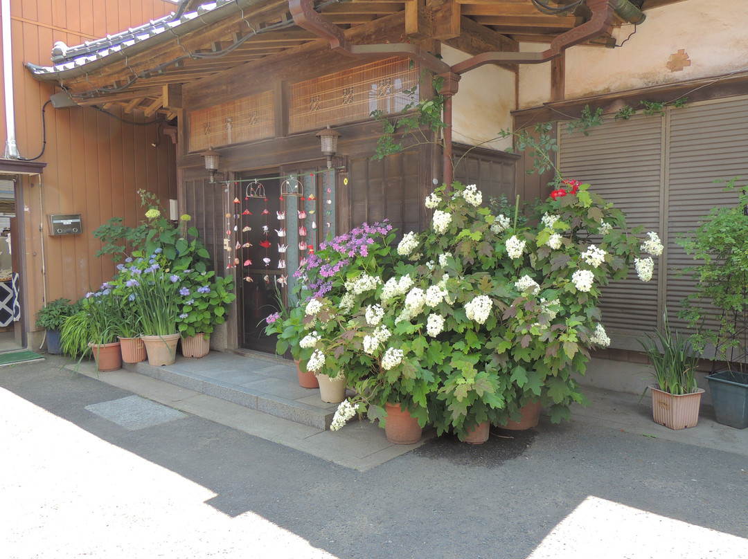 Suigo Itako Iris Festival-潮来市必去景点