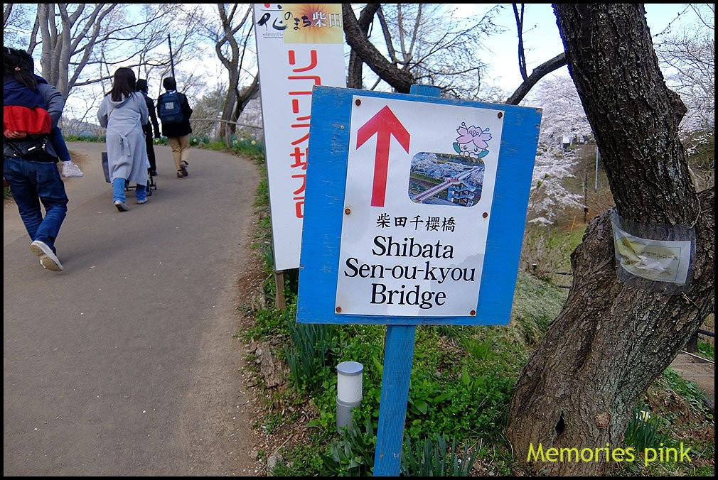 Shibata Senokyo Bridge-柴田町必去景点