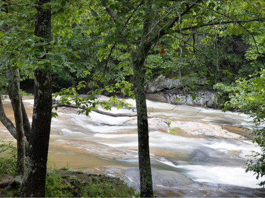 Poole's Mill Covered Bridge-Ball Ground必去景点