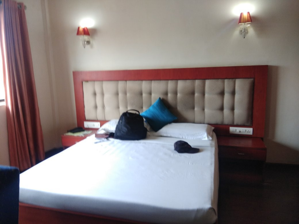 Hotel Green Park Residency主图