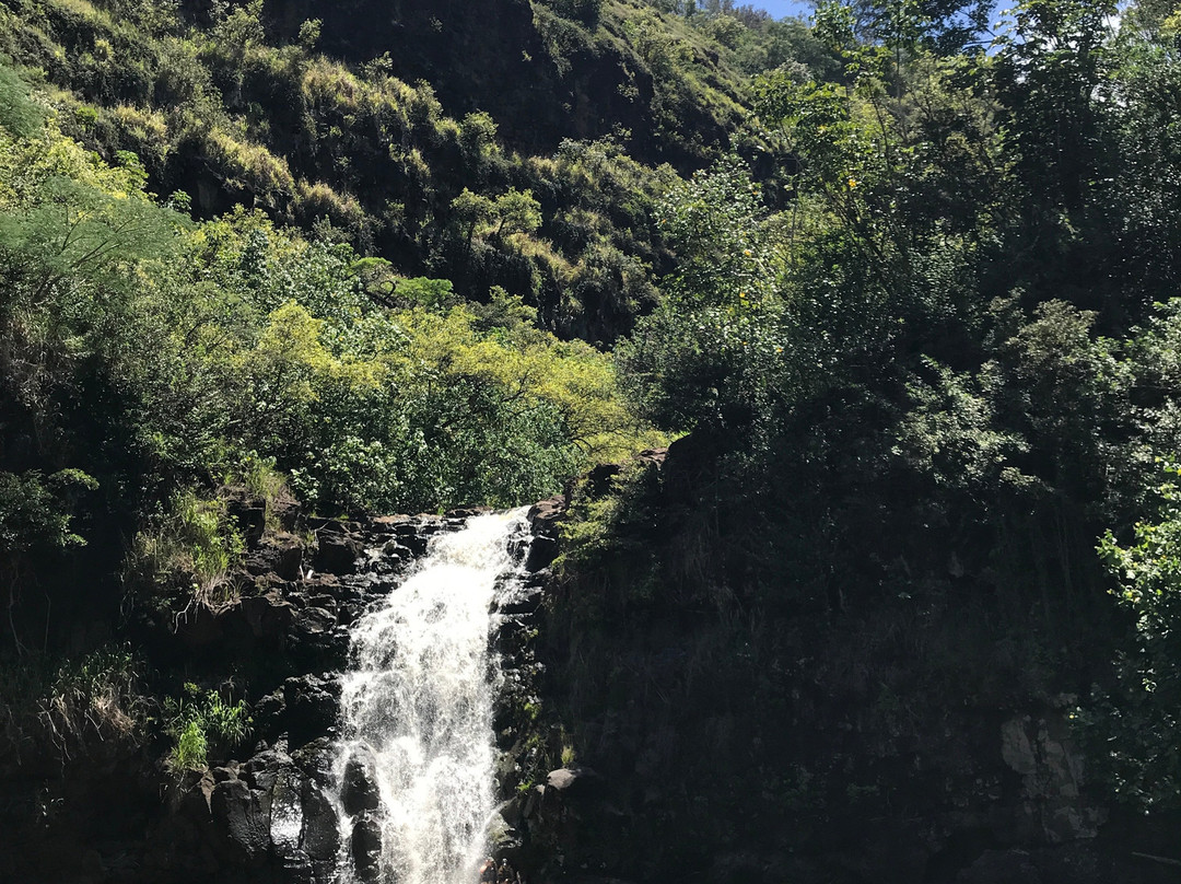 冲浪车-火奴鲁鲁必去景点