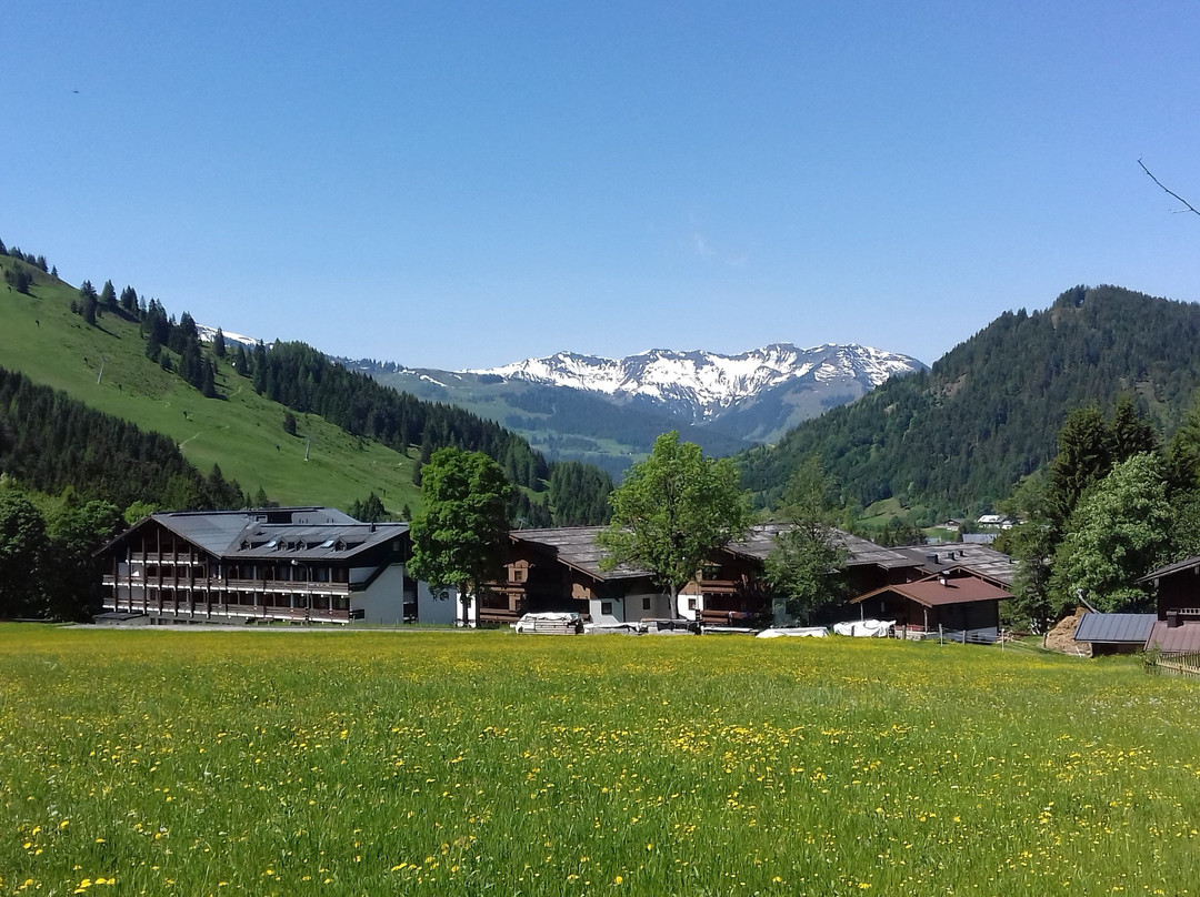 Marco Polo Alpina Familien & Sporthotel主图