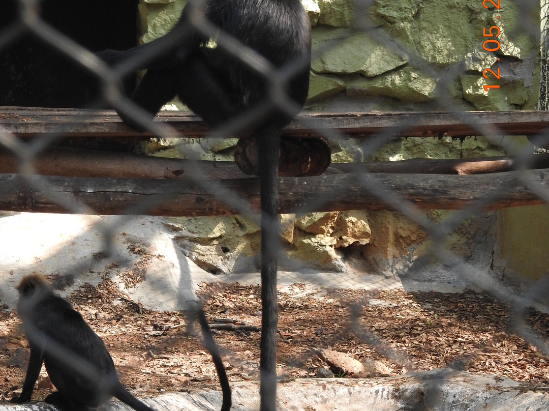 Sri Chamarajendra Zoological Gardens-迈索尔必去景点