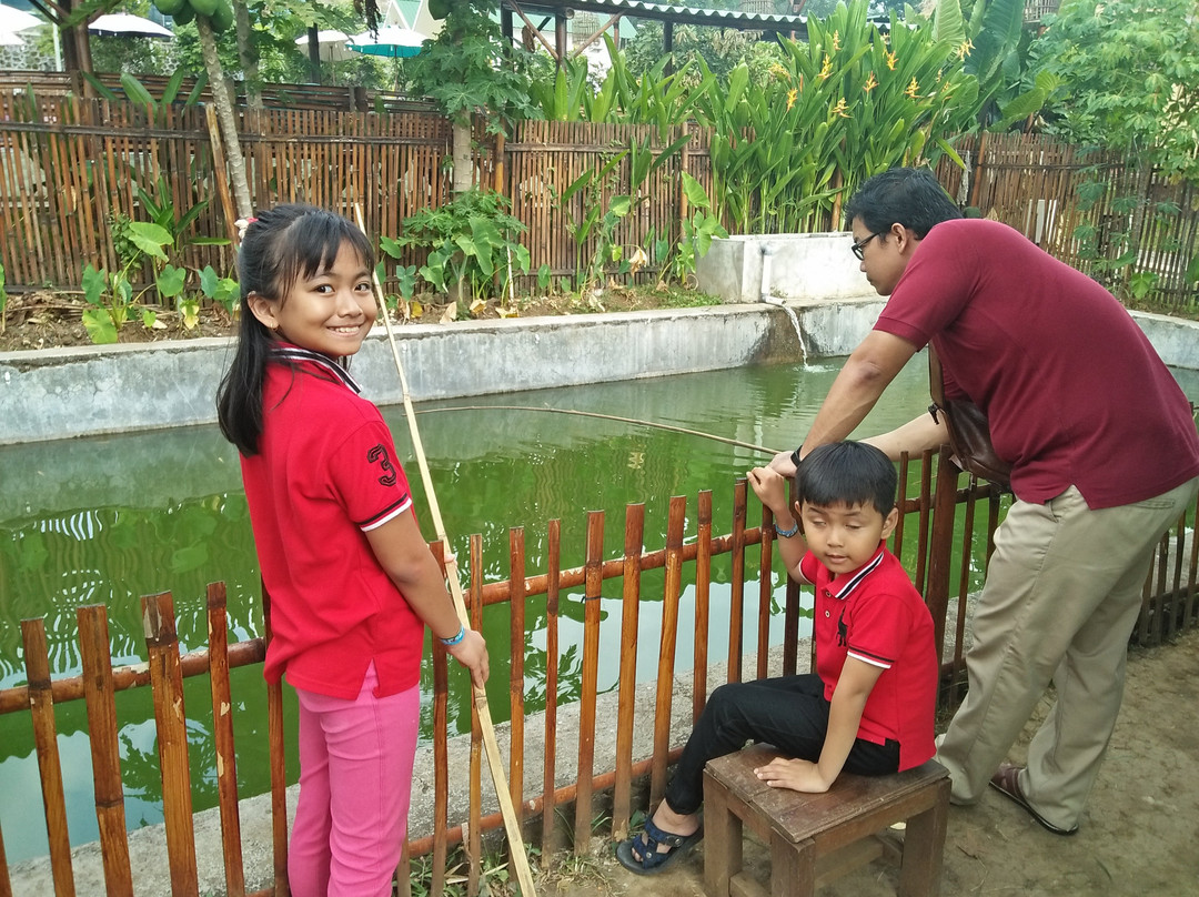 Kebun Pak Budi-巴苏鲁安必去景点