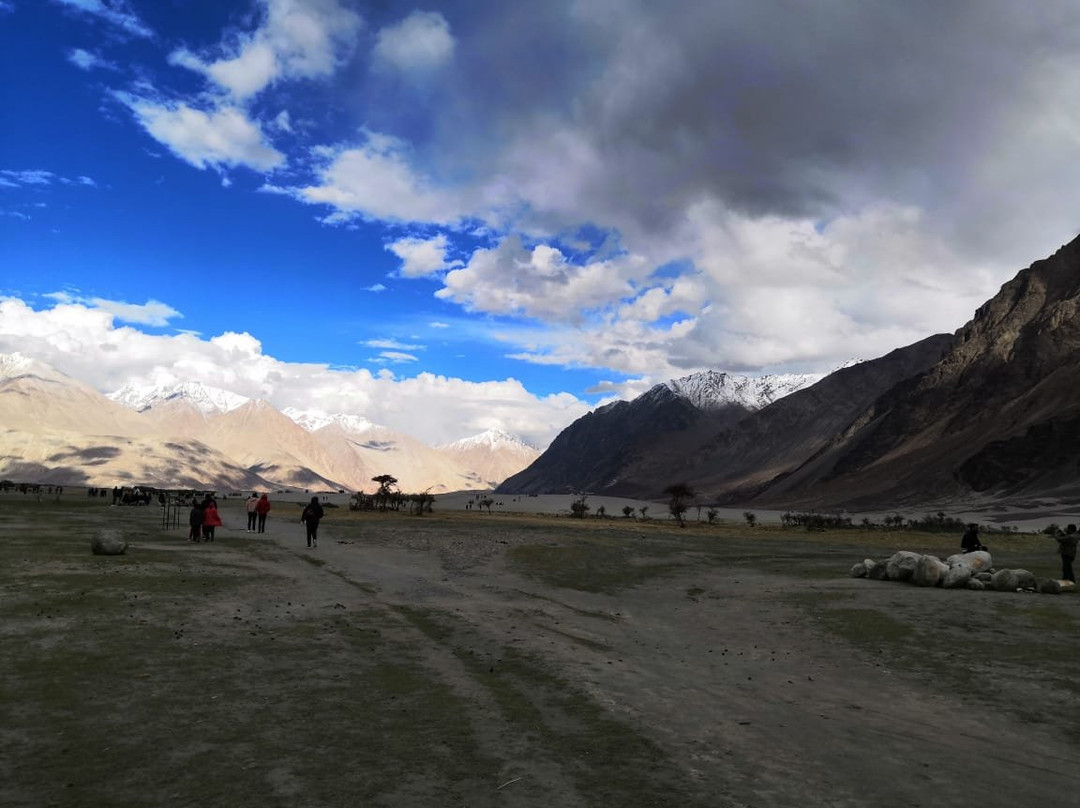 Packages Kashmir-斯利那加必去景点