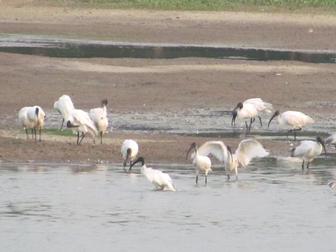 Agara Lake景点图片