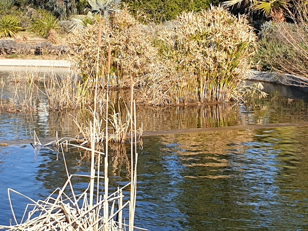 Bureau d'Informations Tourisme La-Seyne-Sur-Mer - Les Sablettes-滨海拉塞纳必去景点