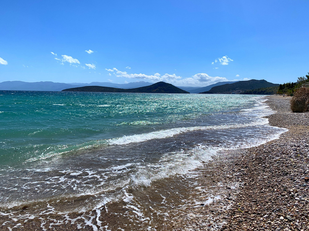 The Grove Seaside Hotel主图