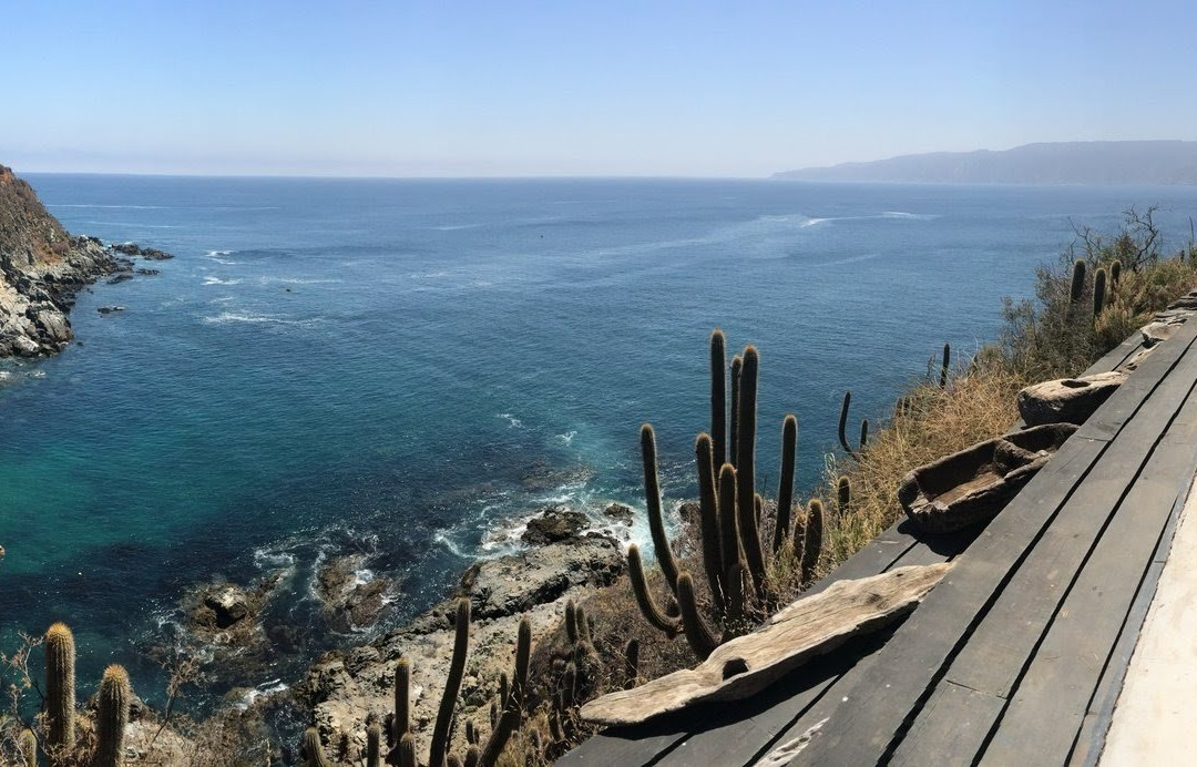 Curaumilla Experience