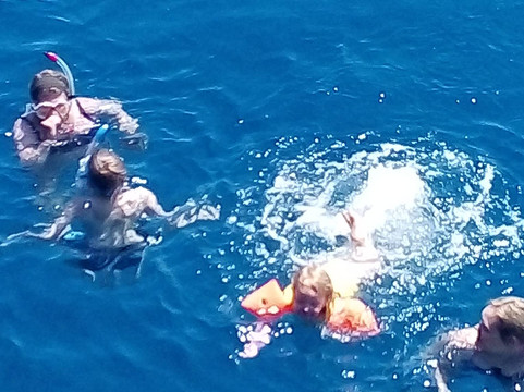 Dolphin Cruises-雷斯蒙必去景点