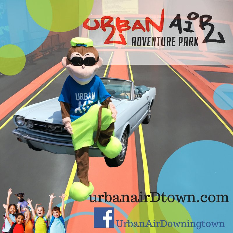 Urban Air Adventure Park Delco景点图片