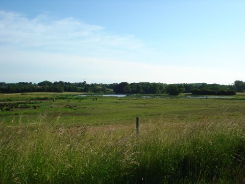 Hoptrup Bed & Breakfast, Haderslev主图