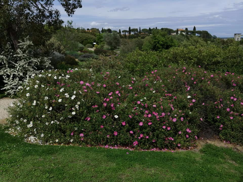 Botanical Dry Garden景点图片