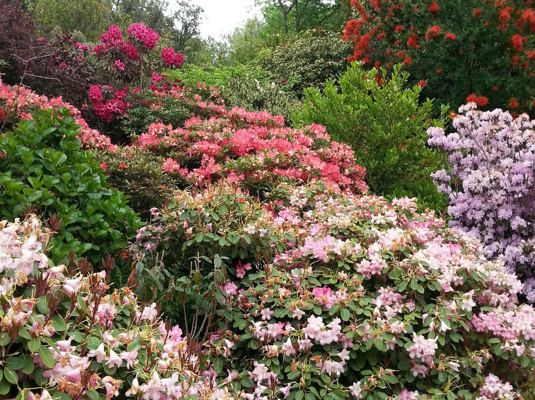 Plas Cadnant Hidden Gardens景点图片