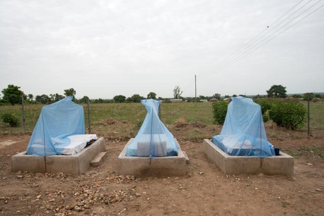 Wechiau Community Hippo Sanctuary-Wa必去景点