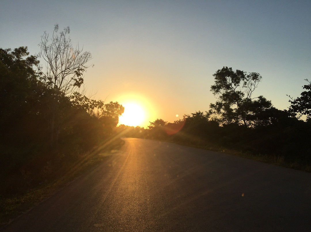 Starlight House Zanzibar主图