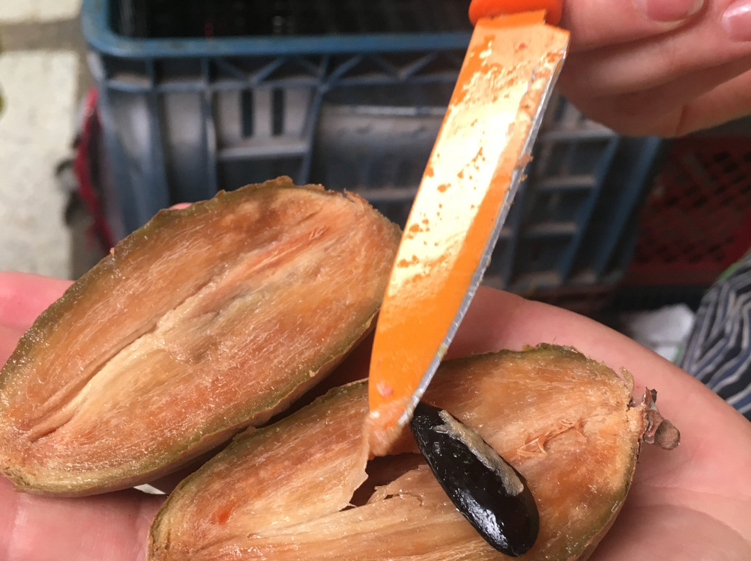 El Tour de la Fruta-波哥大必去景点