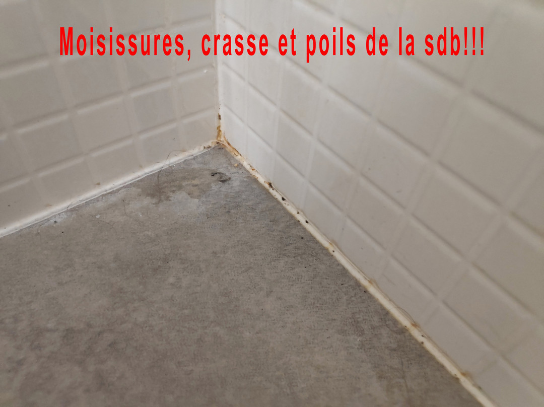 Campanile Chateau Thierry主图