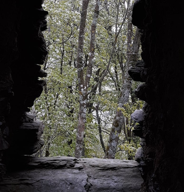 Burgruine Reifenberg景点图片