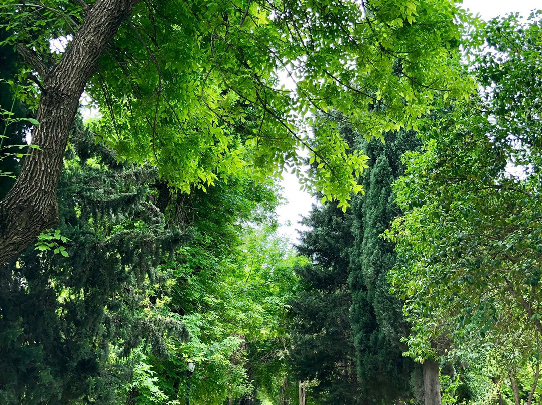 Bakhi Gshty-苏莱曼尼亚必去景点