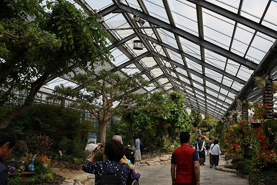 Hampyeong Expo Park - Natural Ecological Museum-咸平郡必去景点