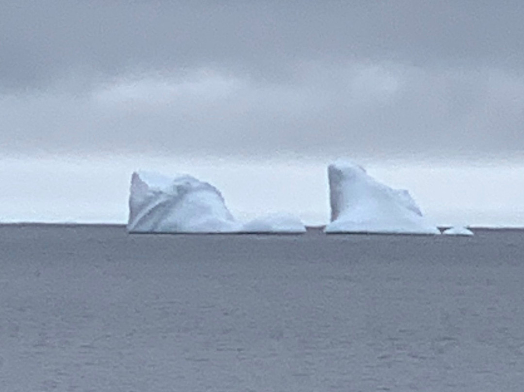 Twillingate Century House Bed and Breakfast主图