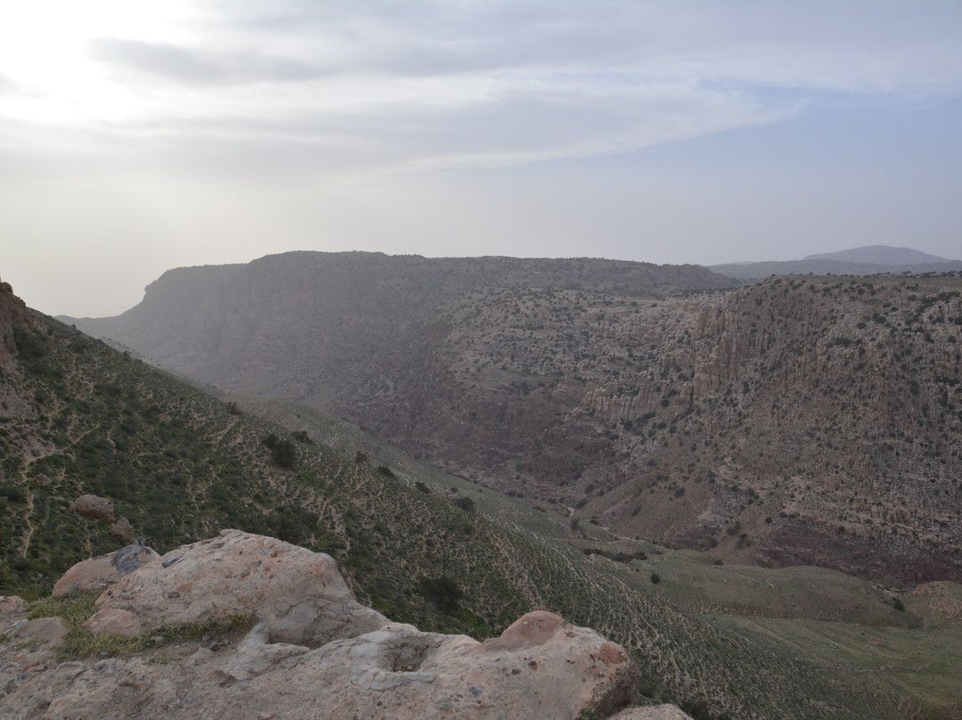 Al-Nawatef Eco Camp- Dana Nature Reserve主图