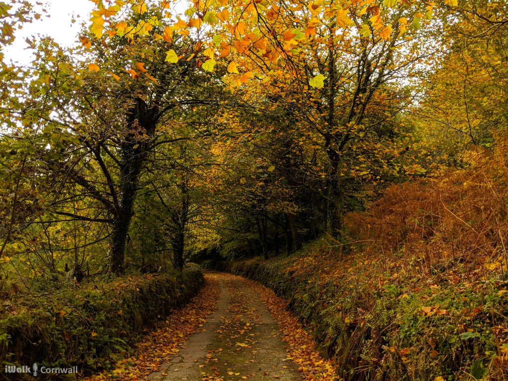 North Hill and Hawks Tor circular walk