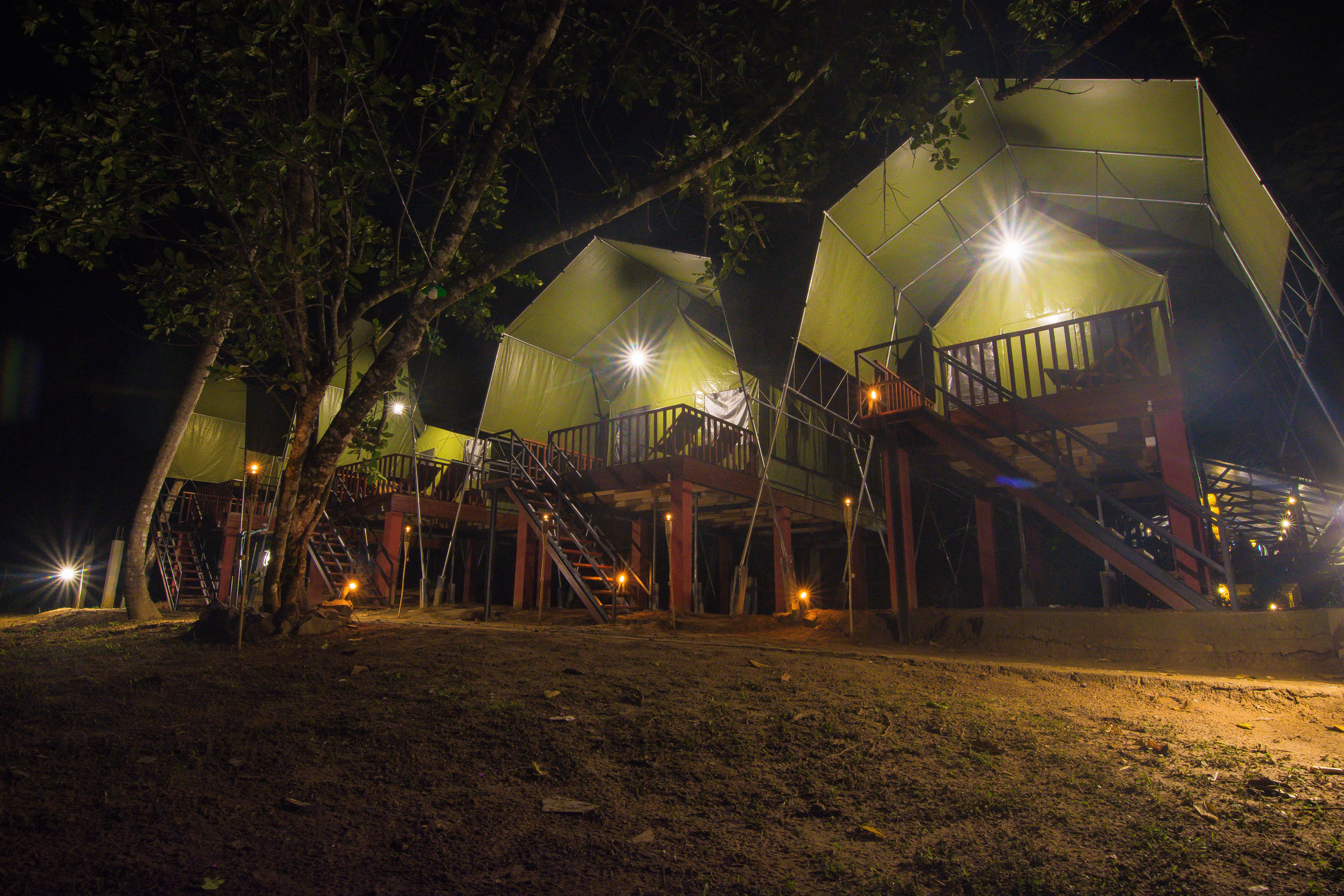 360 Rainforest-官方