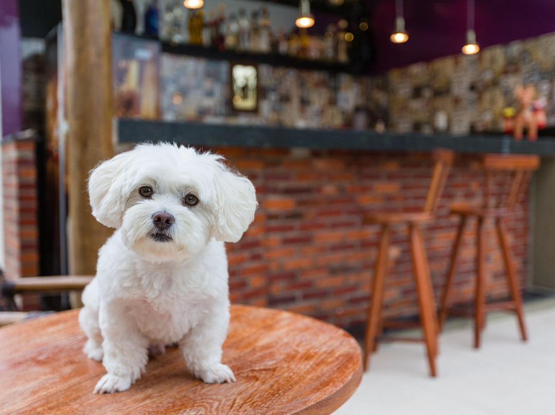 Pousada Eunapolis主图